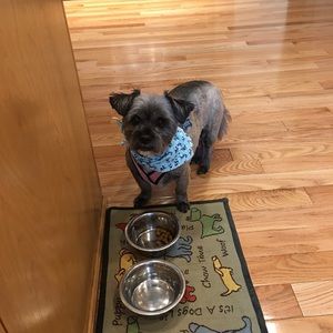 Meet your Posher, Ellen